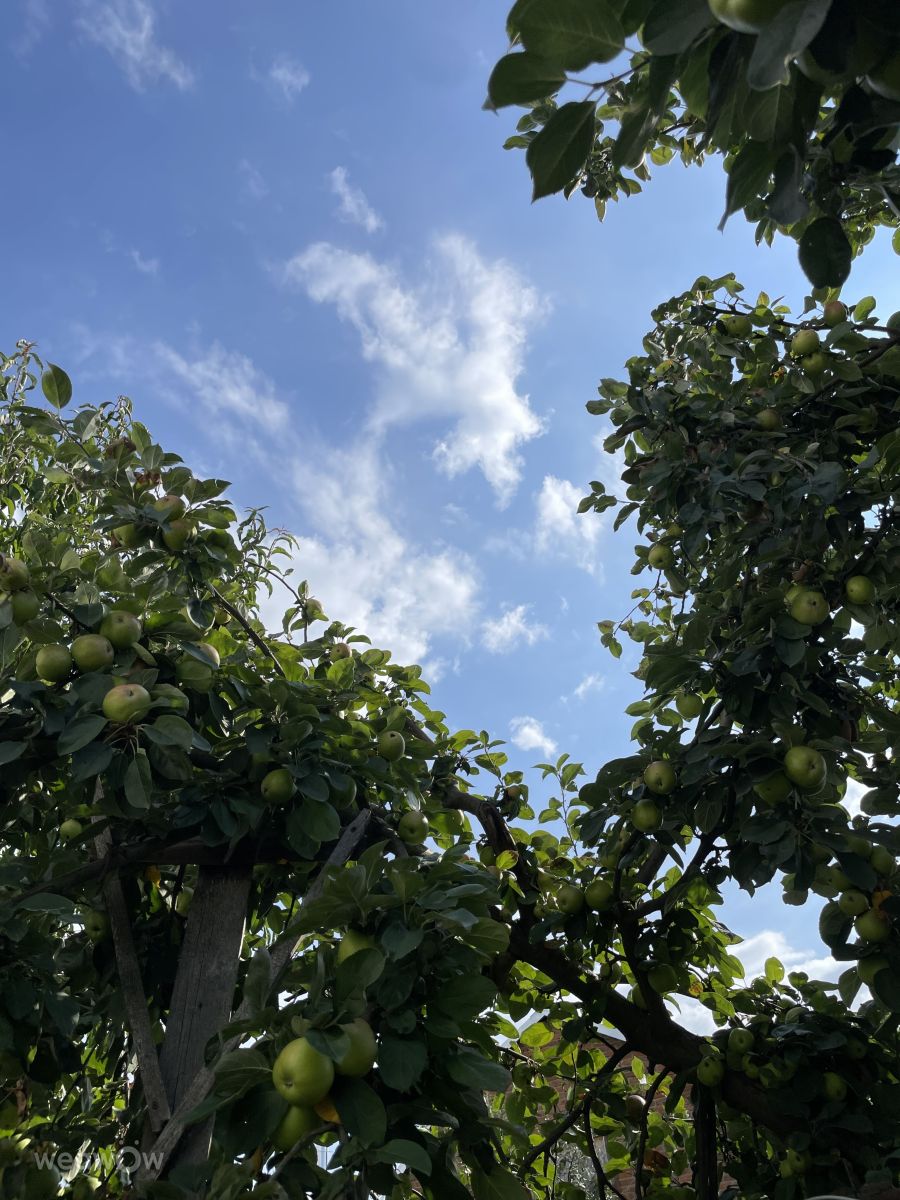 Fotos sobre el clima en Makariv. Pronósticos del tiempo con hermosas fotos de KsenkA