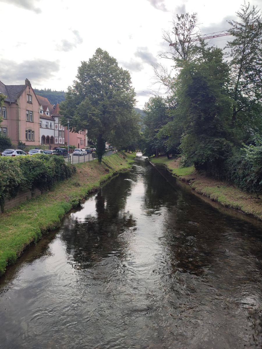Photographer Tercis, Weather Photos in Ettlingen - Weawow