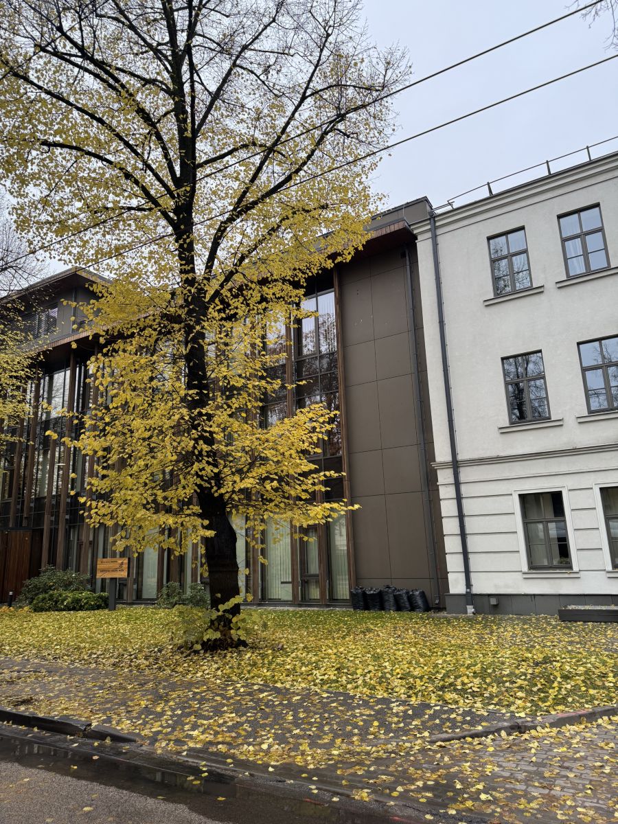 Weather Photos in Rīga. Weather forecasts with beautiful photos by Svet-Lana