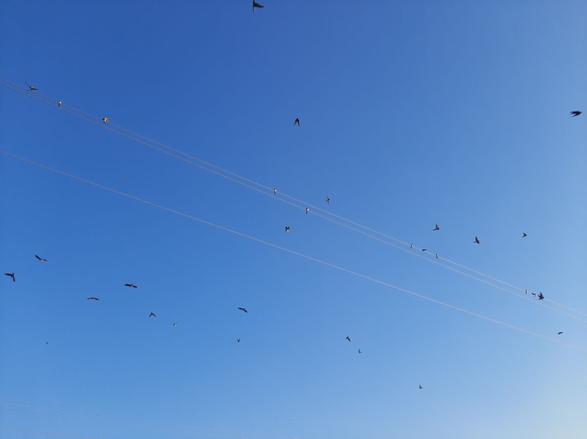 Fotos do tempo em Armavir. Previsões do tempo com lindas fotos de pprrhh