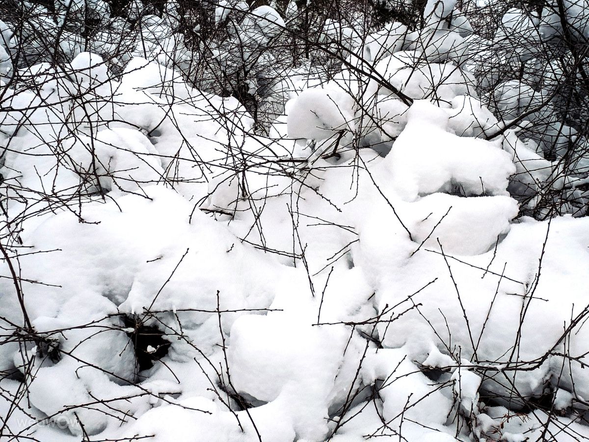 摄影师 aastrelkova，Sarapul Railway Station的天气照片 - Weawow