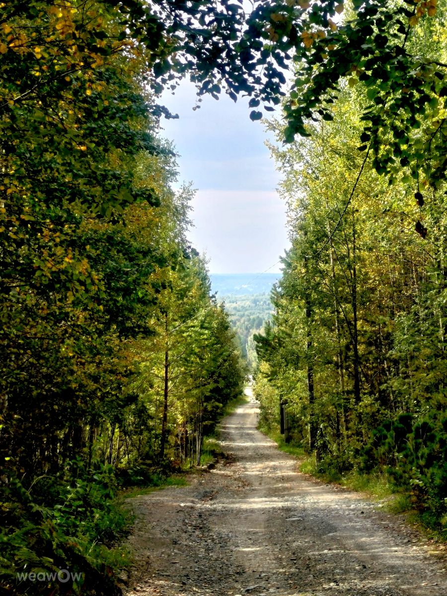 Fotos sobre el clima en Sverdlovskaya Oblast'. Pronósticos del tiempo con hermosas fotos de Lara357
