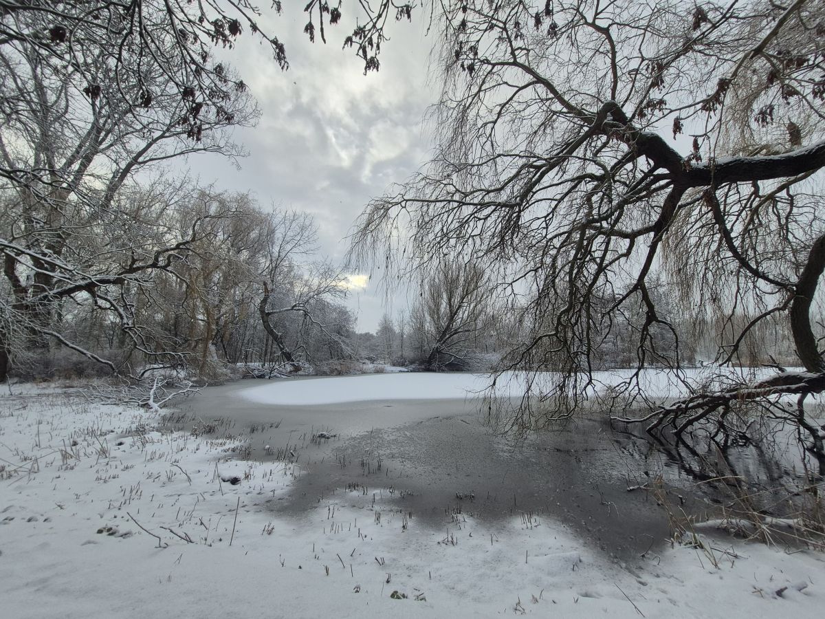 Weather forecasts with beautiful photos by Zeeschildpad