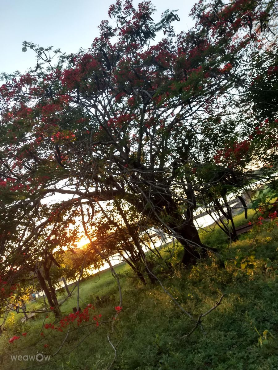 Photos météo à Bandeirantes. Prévisions météo avec de superbes photos de Rafael95_