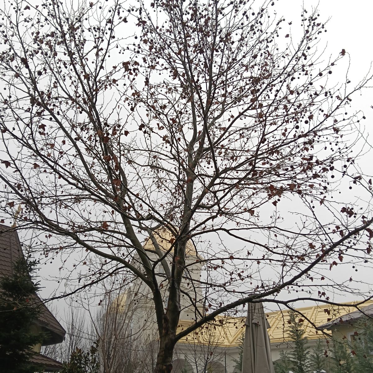 Wetter Photos Rumänien. Wettervorhersagen mit schönen Fotos von YanMir