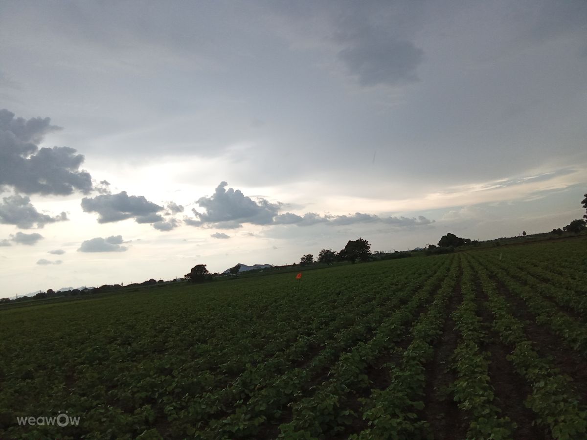 Dự báo thời tiết với những bức ảnh đẹp của Imadabattini Bosu Babu