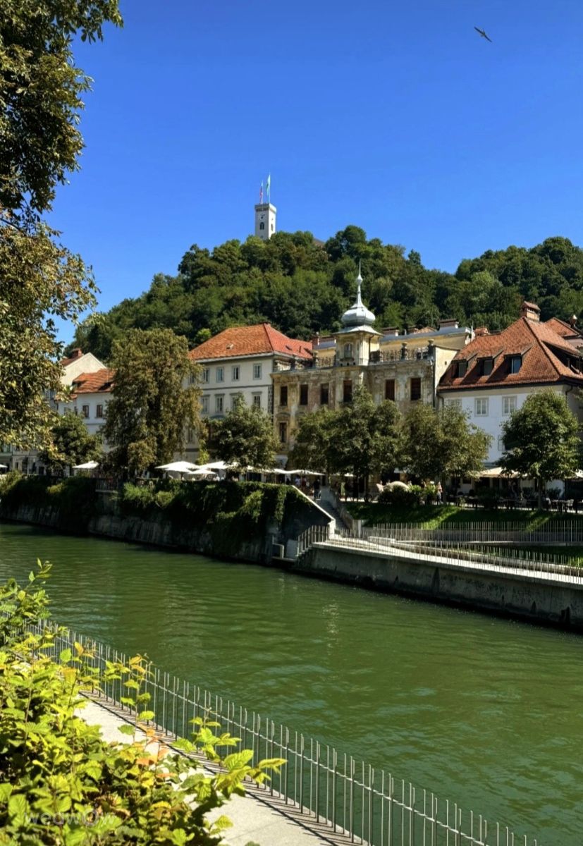 Fotografos Anamarija, Fotos do tempo em Ljubljana - Weawow