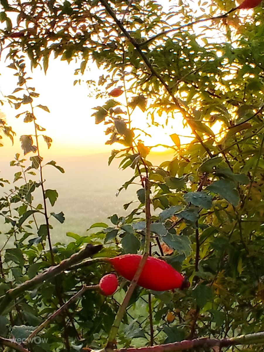 Weather Photos in Allersberg. Weather forecasts with beautiful photos by Brtd