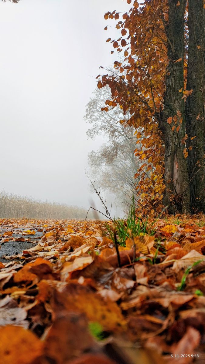 Fotografos Piškot, Fotos do tempo em Bohunovice - Weawow