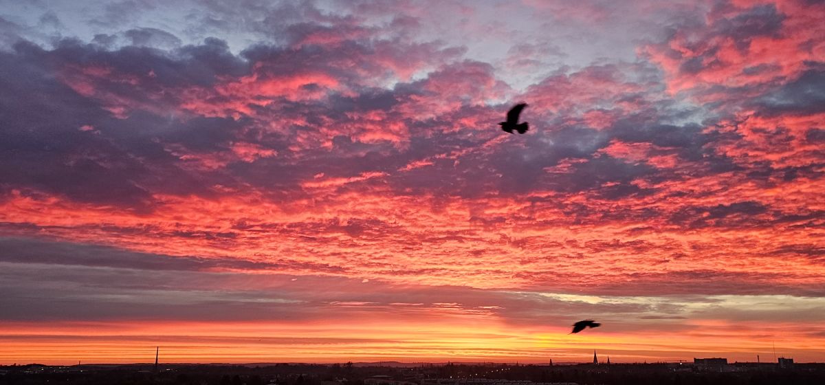 Фотограф Thinner1000, Фотографии Погоды в Шверин - Weawow