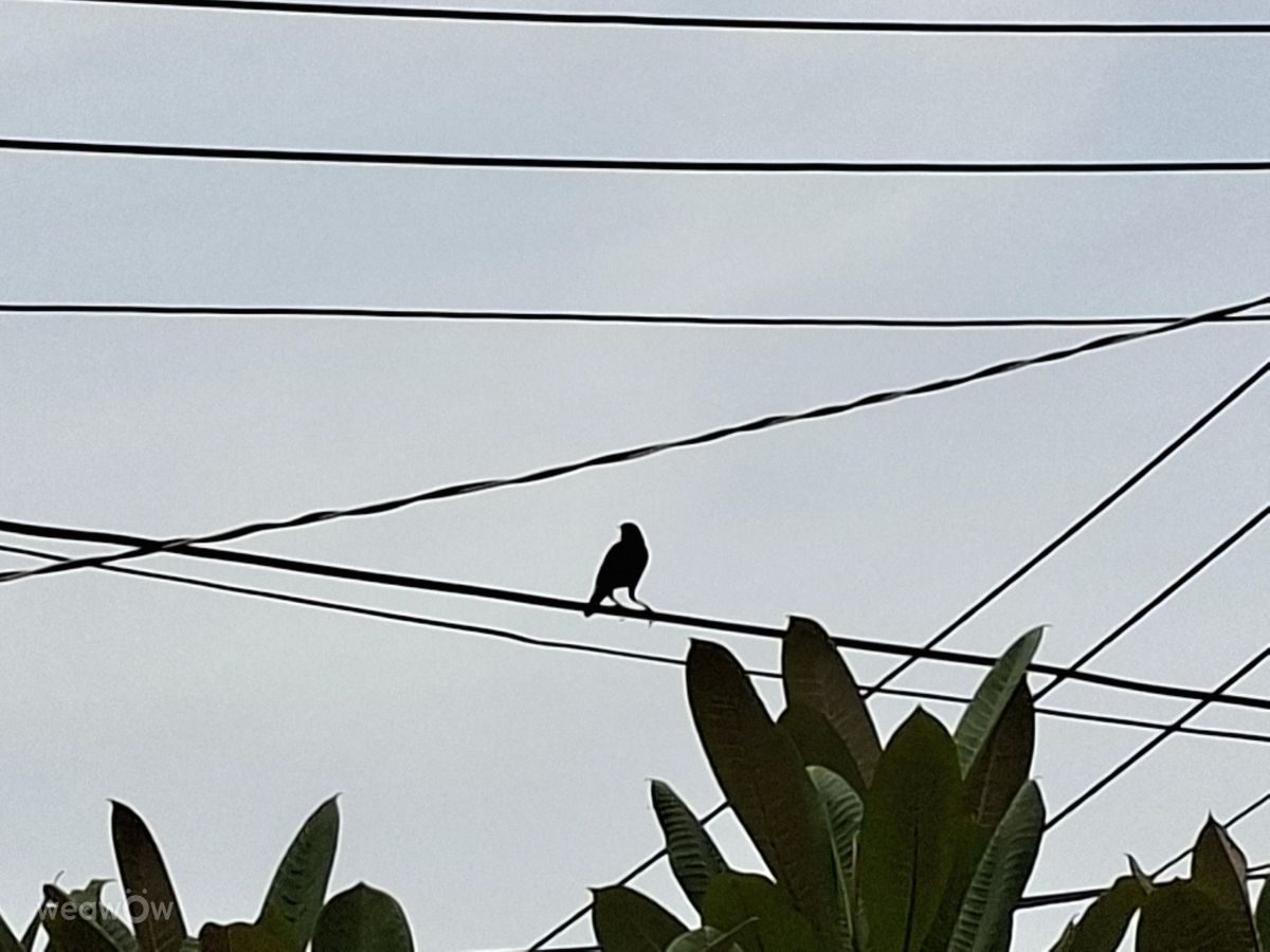 Photographer Wen-ya Huang, Weather Photos in Kaohsiung City - Weawow