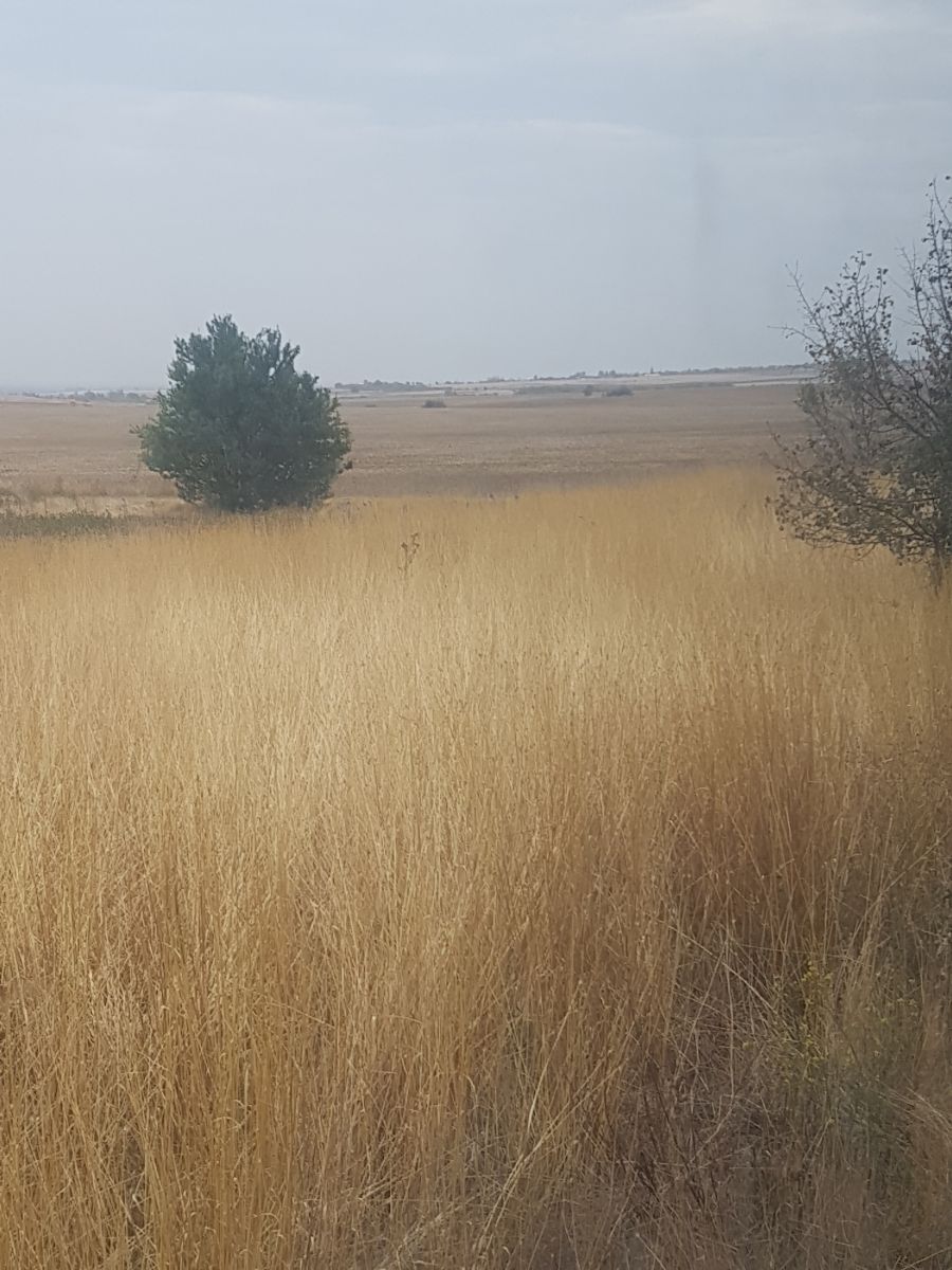 Fotos do tempo em Bulgária. Previsões do tempo com lindas fotos de Angelina Rizova