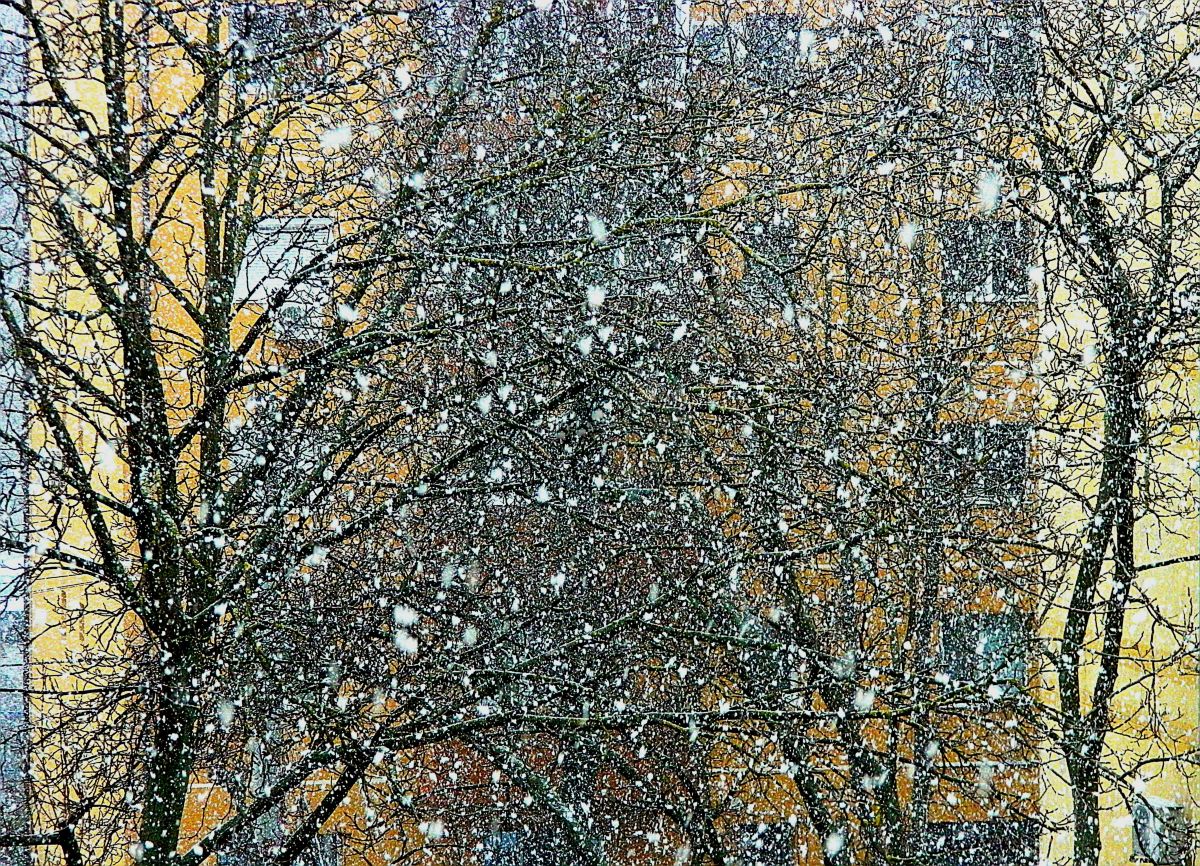 Pronósticos del tiempo con hermosas fotos de ConstantinR