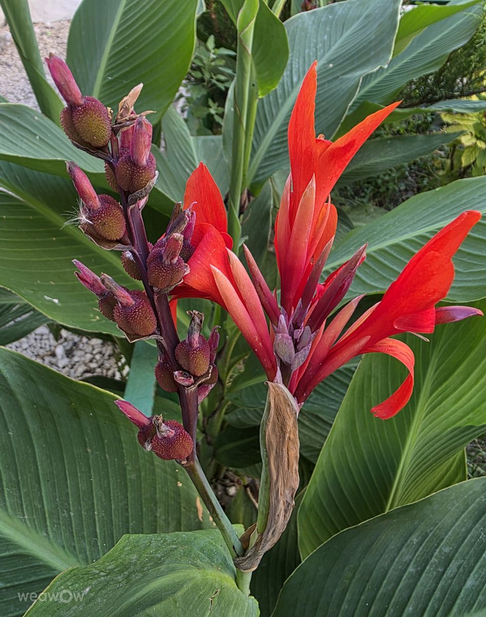 Fotos sobre el clima en Municipiul Chisinau. Pronósticos del tiempo con hermosas fotos de Mircea