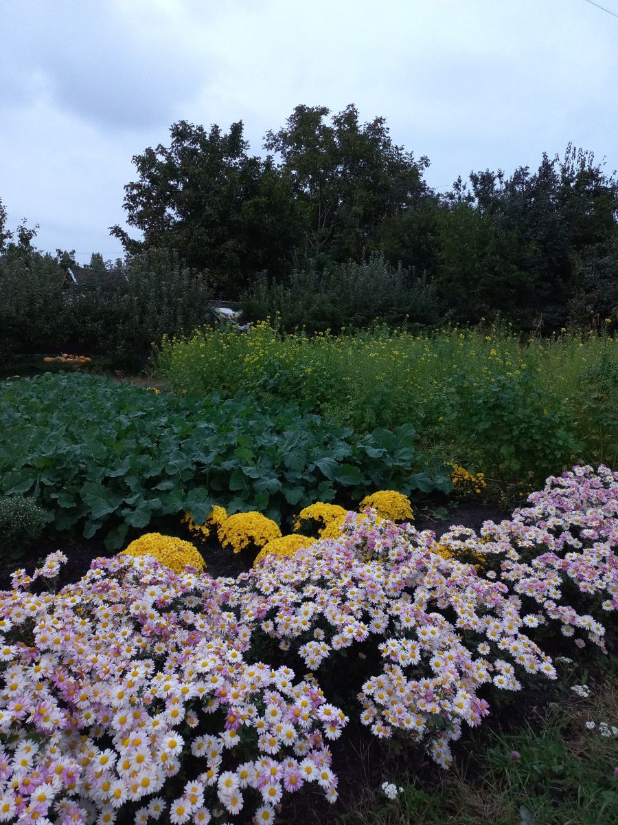 Фотографии Погоды в Фастов. Прогнозы погоды с чудесными фотографиями, сделанными teplota