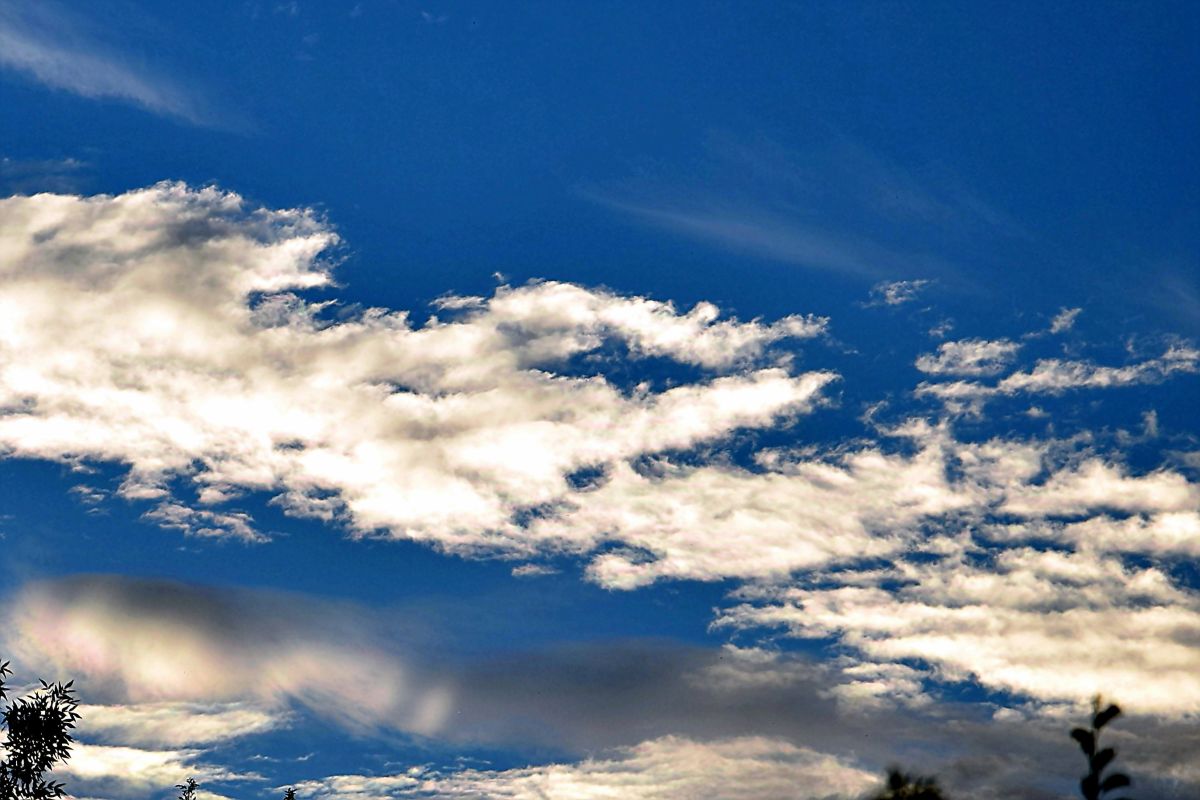 Фотографии Погоды в Тимишоара. Прогнозы погоды с чудесными фотографиями, сделанными ConstantinR