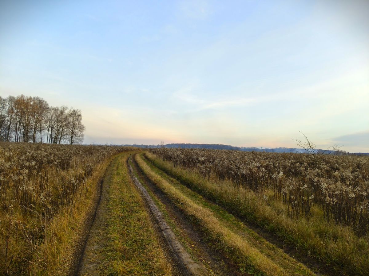 Fotos sobre el clima en Tula. Pronósticos del tiempo con hermosas fotos de Aleksei