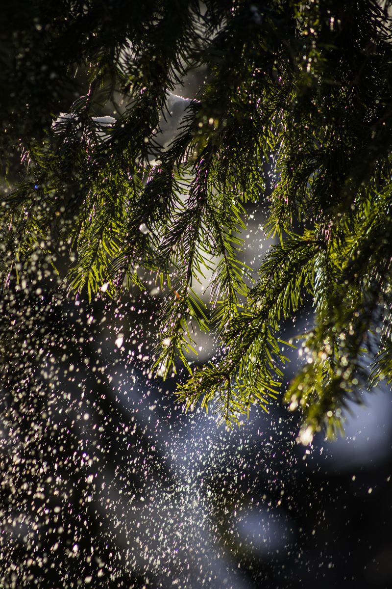 Weather Photos in Beloretsk. Weather forecasts with beautiful photos by Nymph542