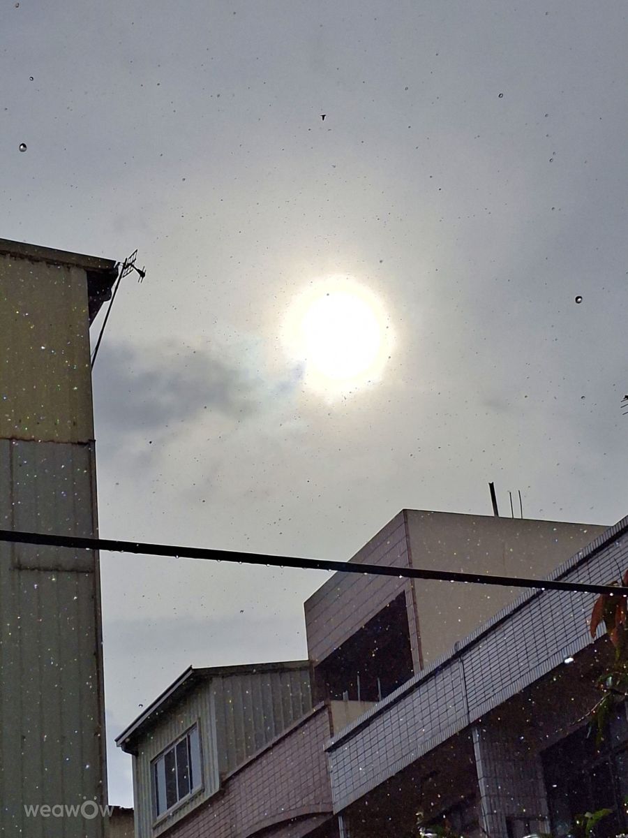 Photographer Wen-ya Huang, Weather Photos in Kaohsiung City - Weawow