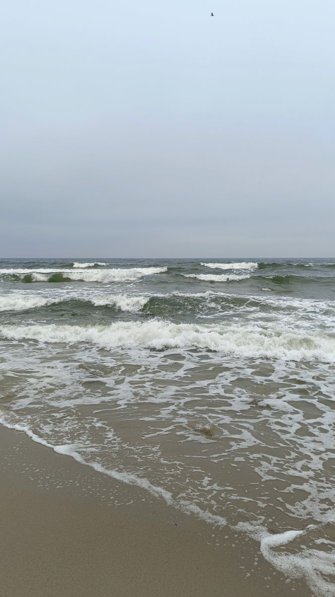 Gorod Svetlogorsk的天气照片. 天气预报，带Михаил Бондаренко精美的照片