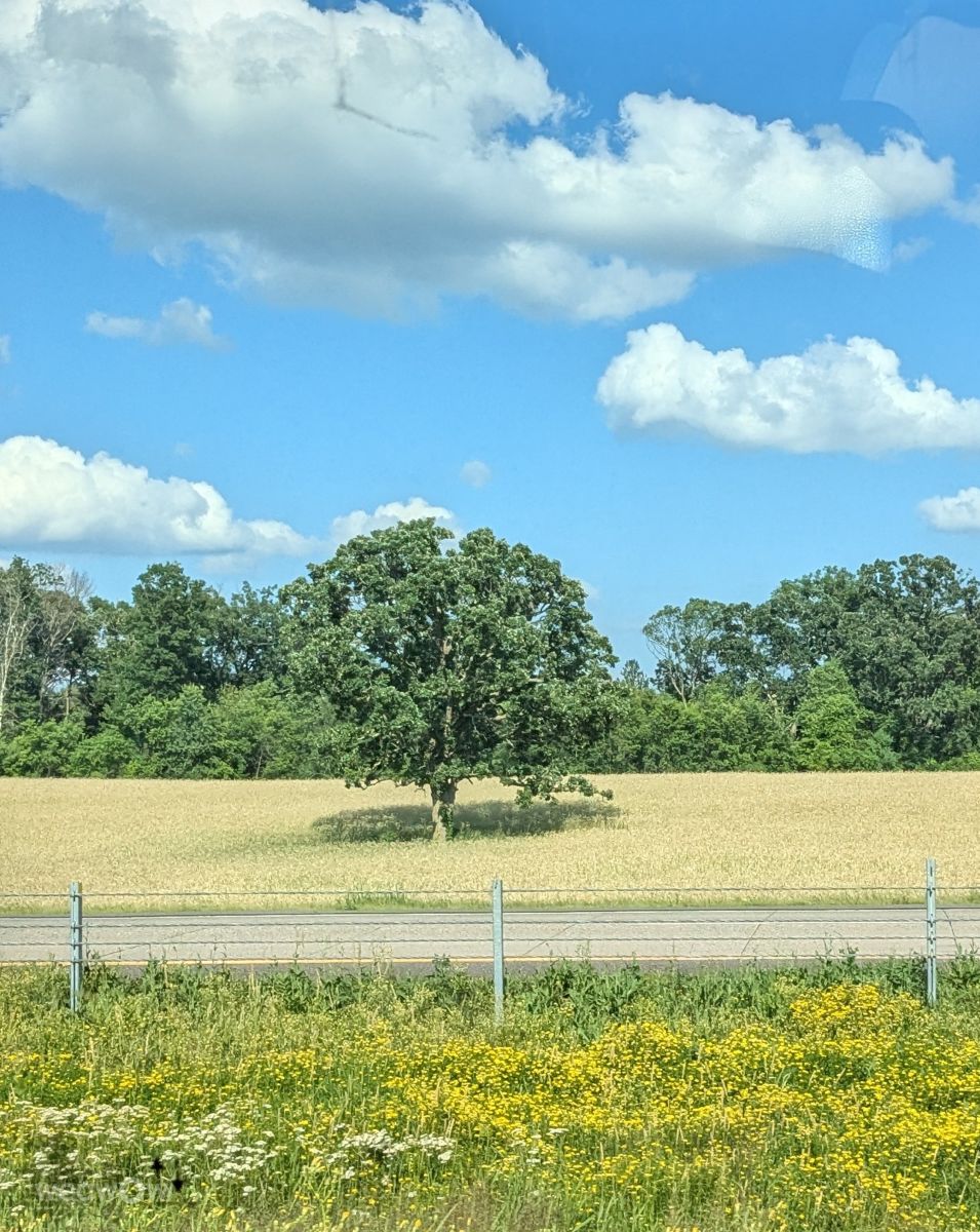 North Branch United States 14 - BygMUxNWJ11022401 