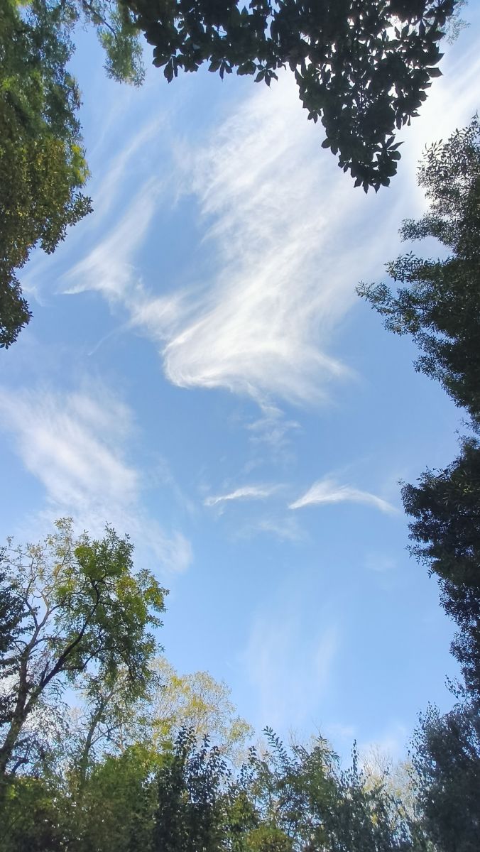 ブカレストの天気写真. YanBogの美しい写真による天気予報