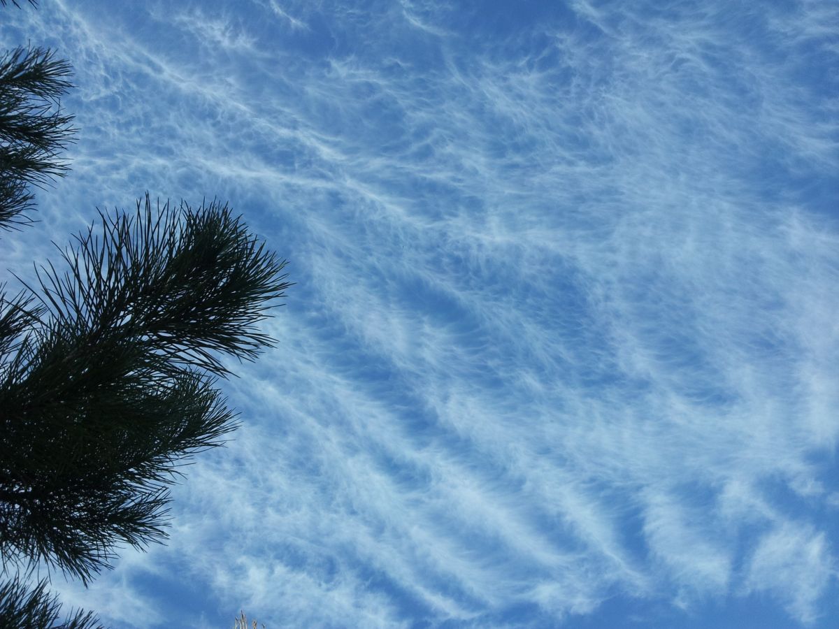 Photos météo à HaMerkaz. Prévisions météo avec de superbes photos de Sviatoslav