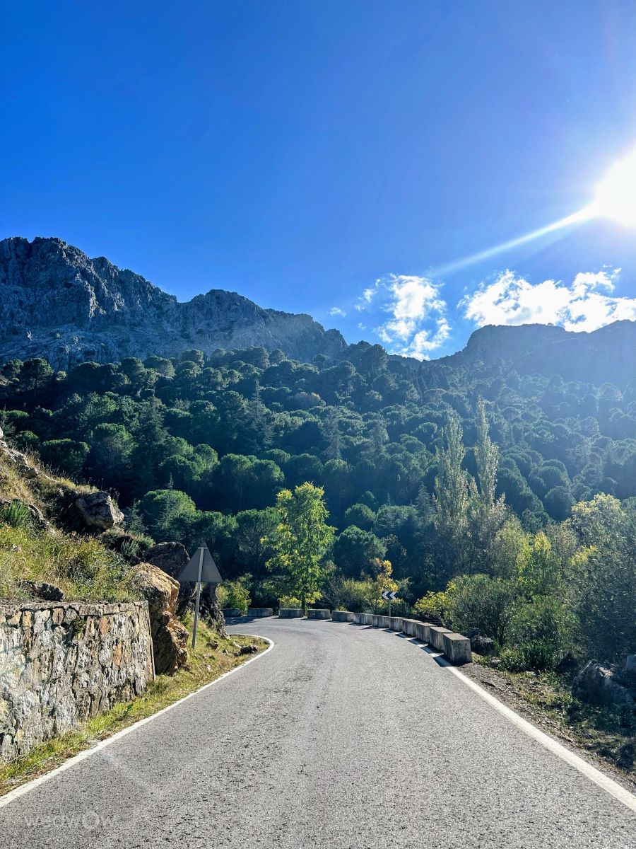 天气预报，带Soulbro精美的照片