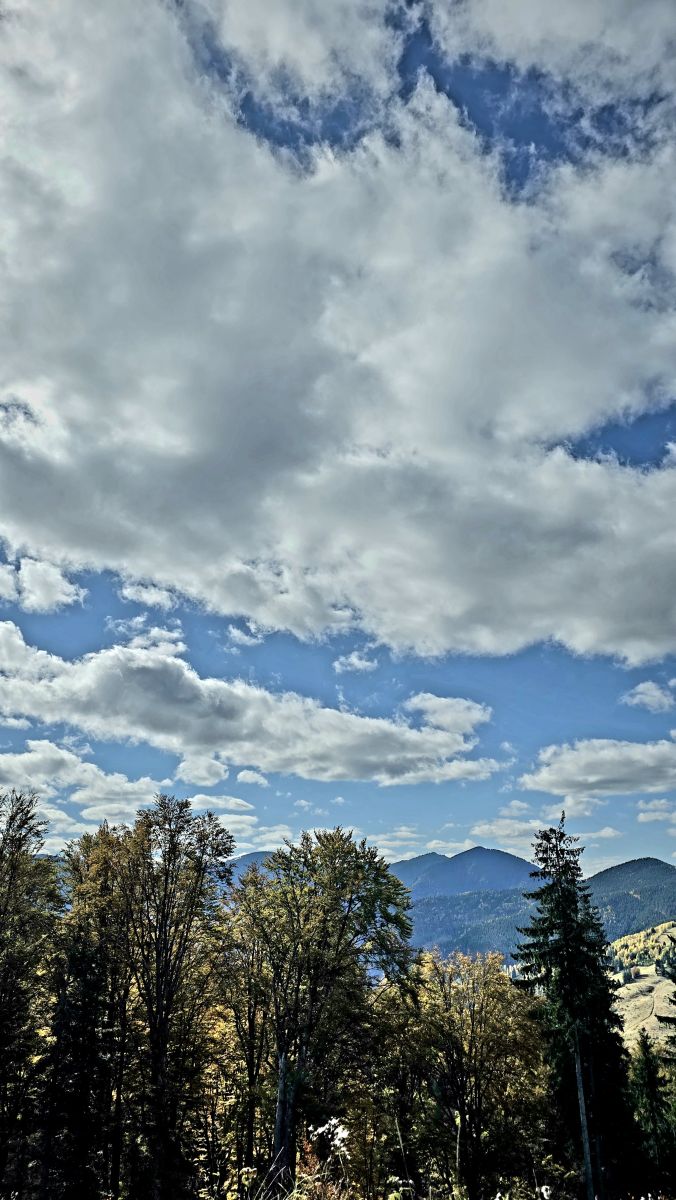 Weather Photos in Oraş Broşteni. Weather forecasts with beautiful photos by Camelyon