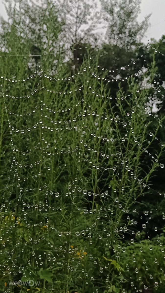 Photographer G_3233, Weather Photos in Vladivostok - Weawow