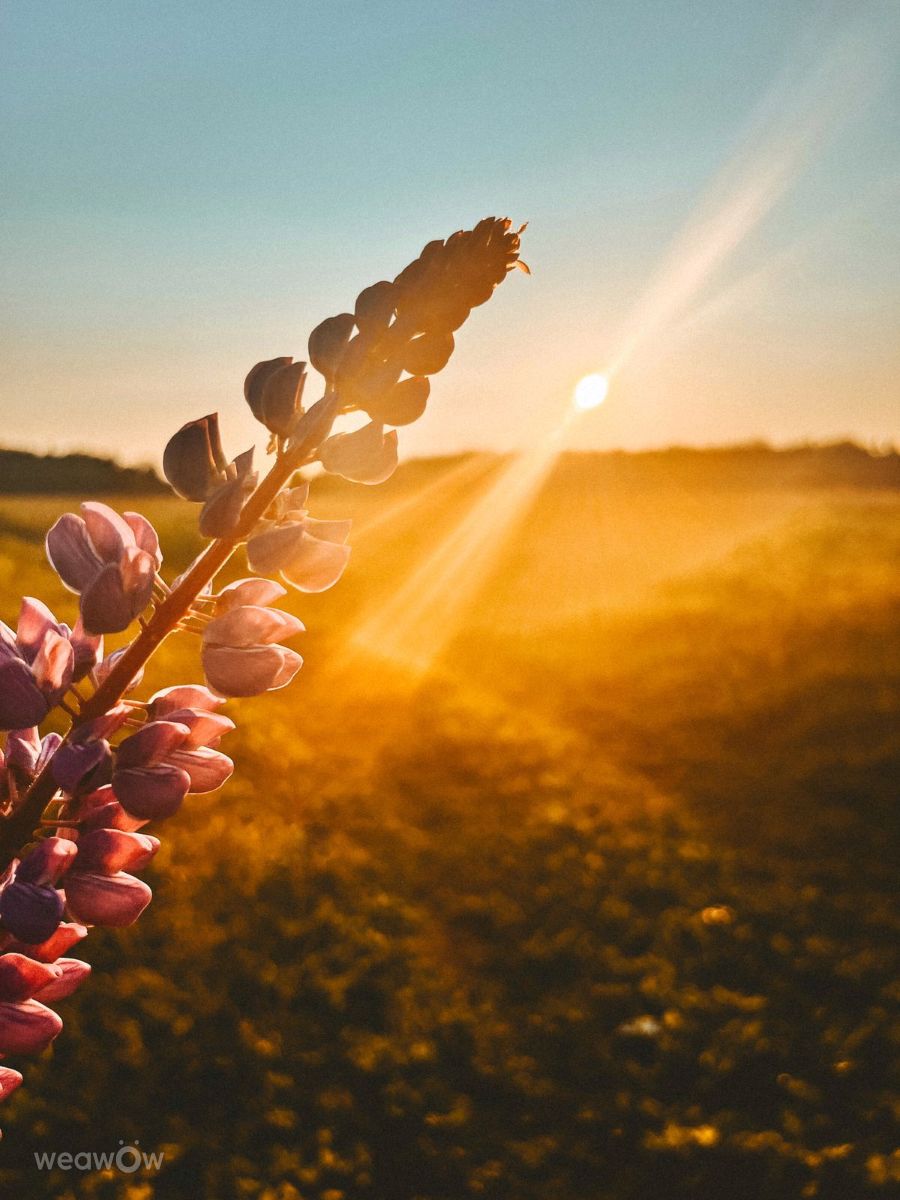 Photos météo à Tver. Prévisions météo avec de superbes photos de Ратибор