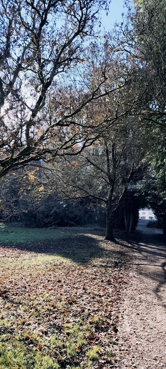 Photographer Tercis, Weather Photos in Ettlingen - Weawow