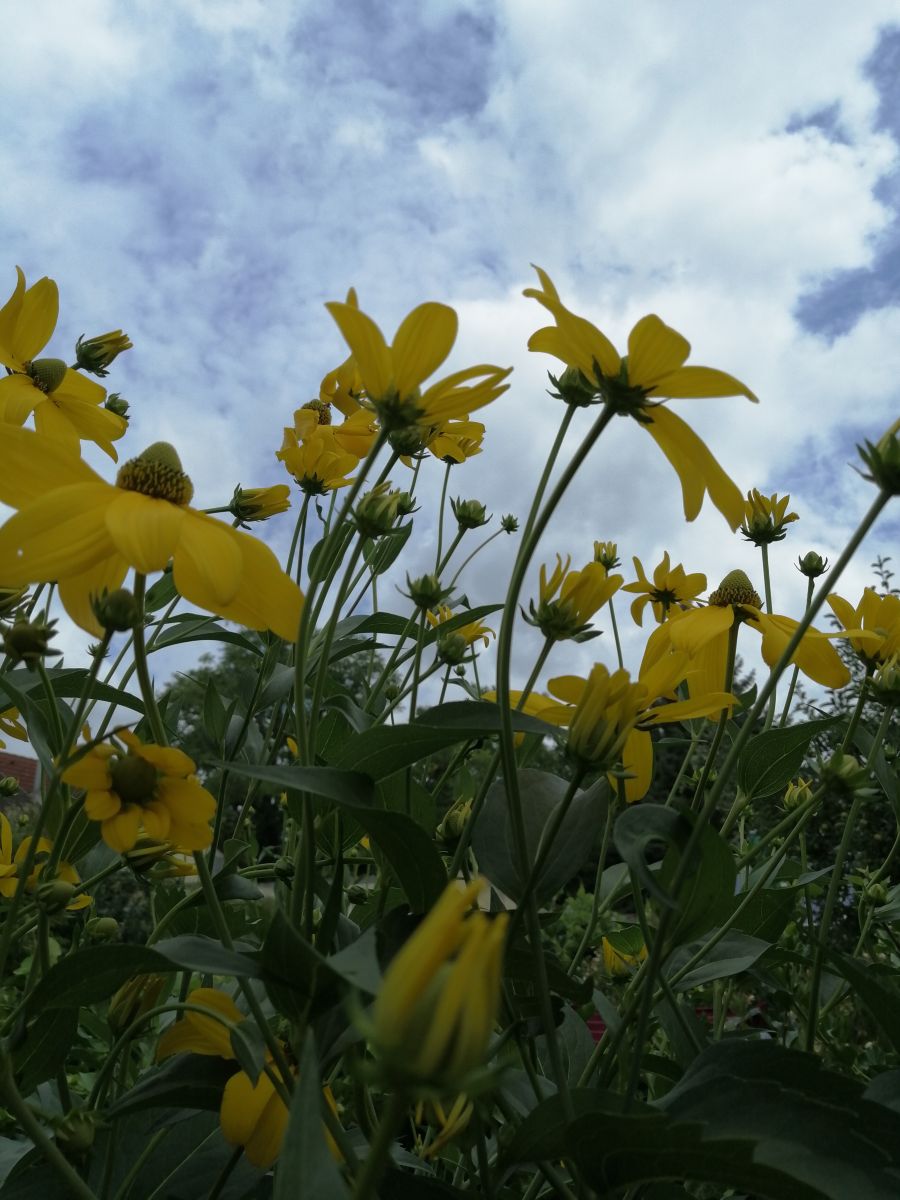 Weather Photos in Austria. Weather forecasts with beautiful photos by Augustin