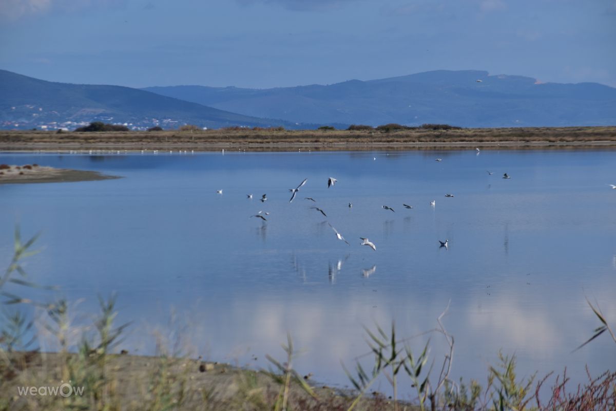 Wettervorhersagen mit schönen Fotos von Angeldadae
