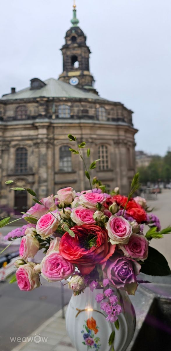 Wetter Photos Dresden. Wettervorhersagen mit schönen Fotos von LjubaFox