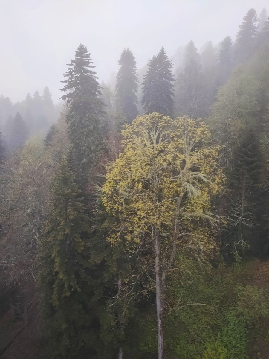 Photograph Belkka303, Wetter Photos Roza Khutor - Weawow