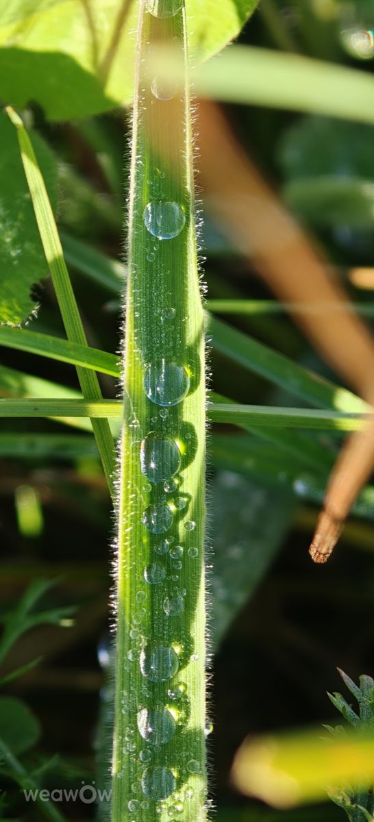 Photos météo à Bihor. Prévisions météo avec de superbes photos de MakiCami