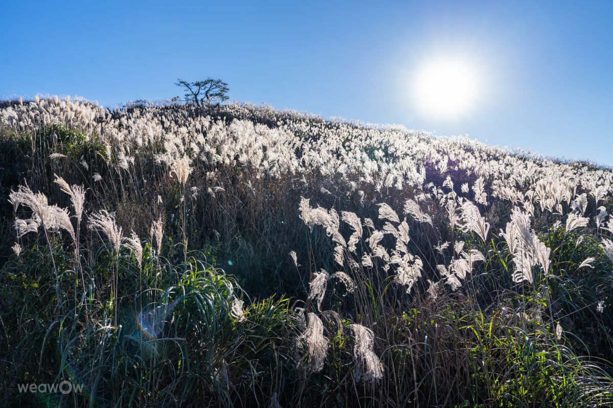 Weather forecasts with beautiful photos by yunyangsu
