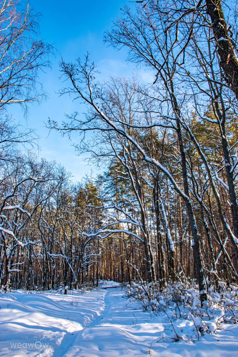 Previsões do tempo com lindas fotos de GrgaP