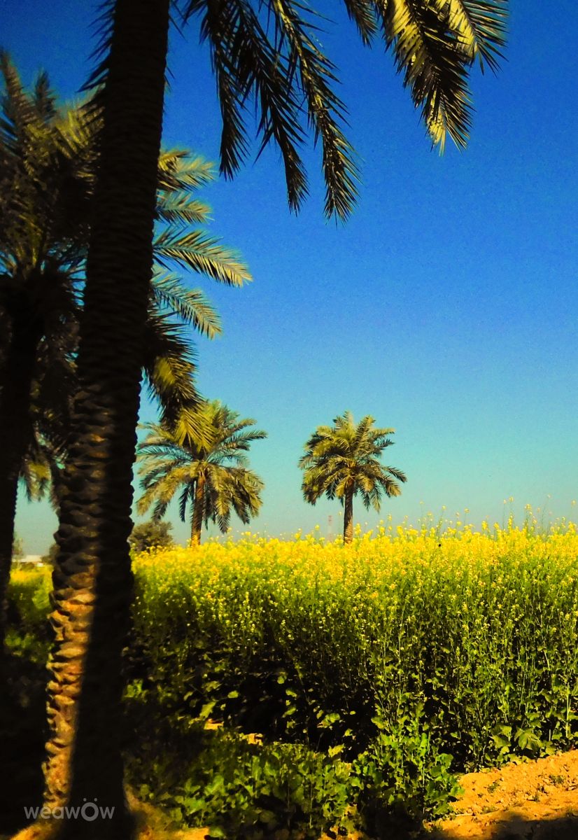 Weather Photos in Pakistan. Weather forecasts with beautiful photos by Yousuf