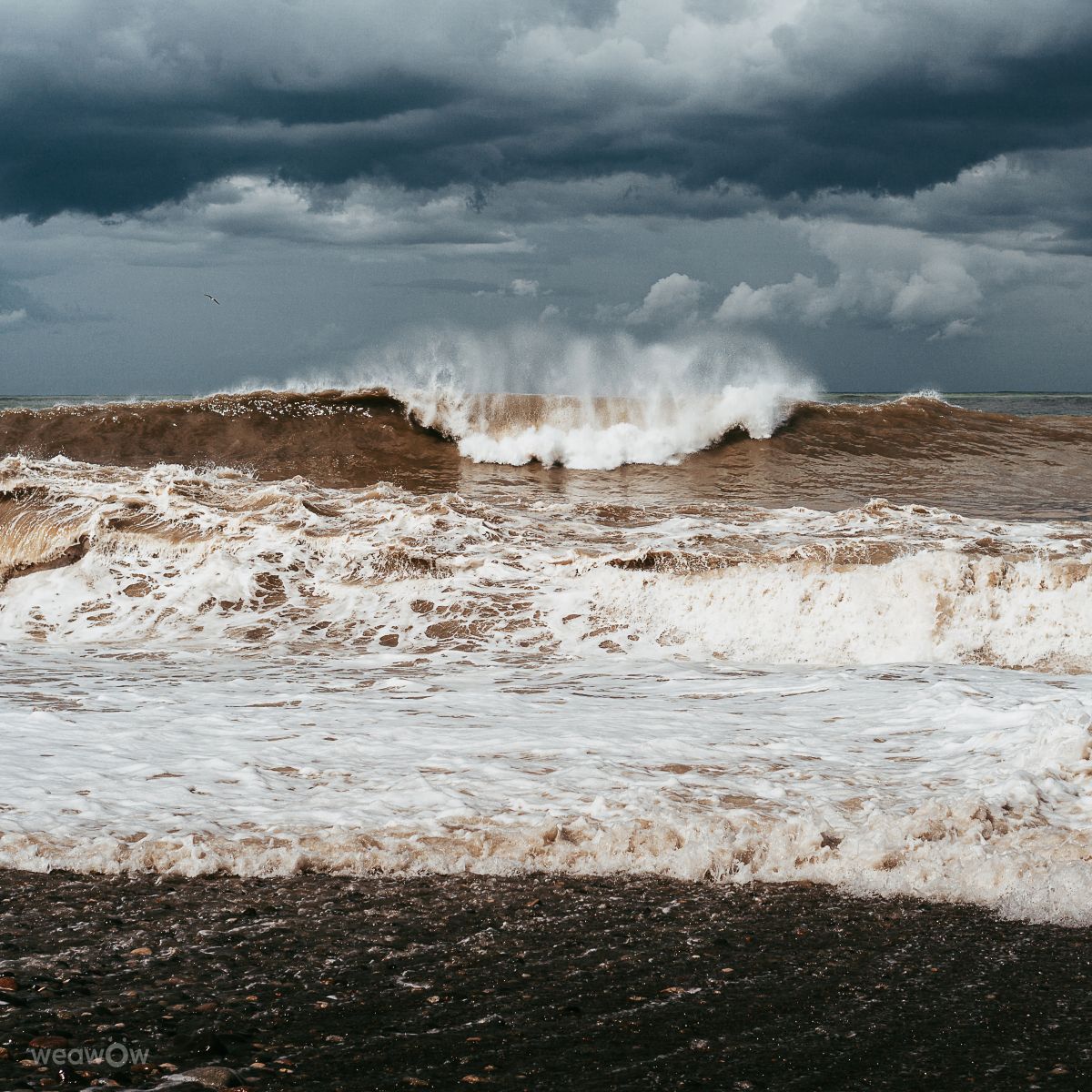 Fotos sobre el clima en Batum. Pronósticos del tiempo con hermosas fotos de dabaevd