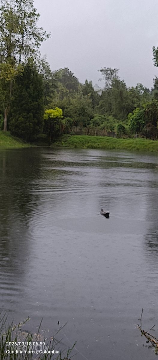 Weather Photos in Colombia. Weather forecasts with beautiful photos by Molina-10
