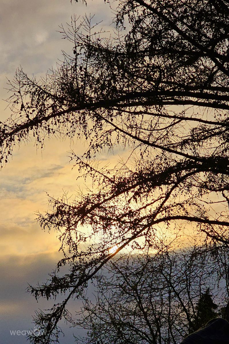 Photographer Seni, Weather Photos in Velbert - Weawow