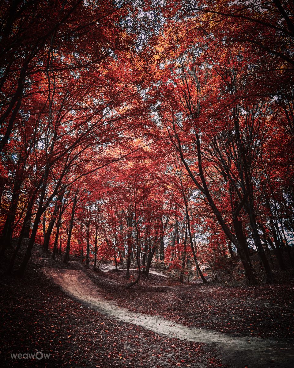 Hình ảnh Thời tiết ở Subcarpathia. Dự báo thời tiết với những bức ảnh đẹp của KAMP