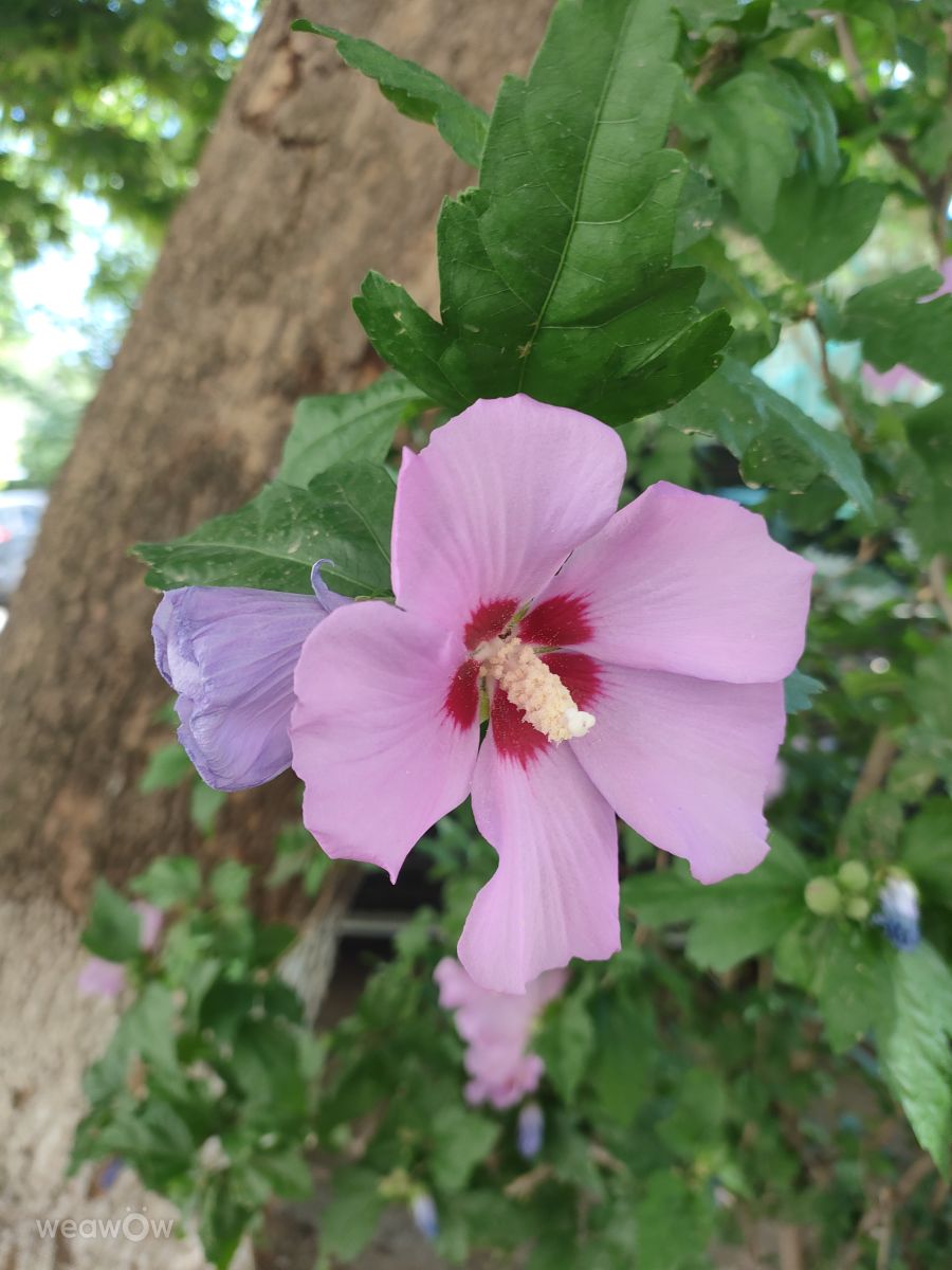 Weather Photos in Uzbekistan. Weather forecasts with beautiful photos by A_Varjat