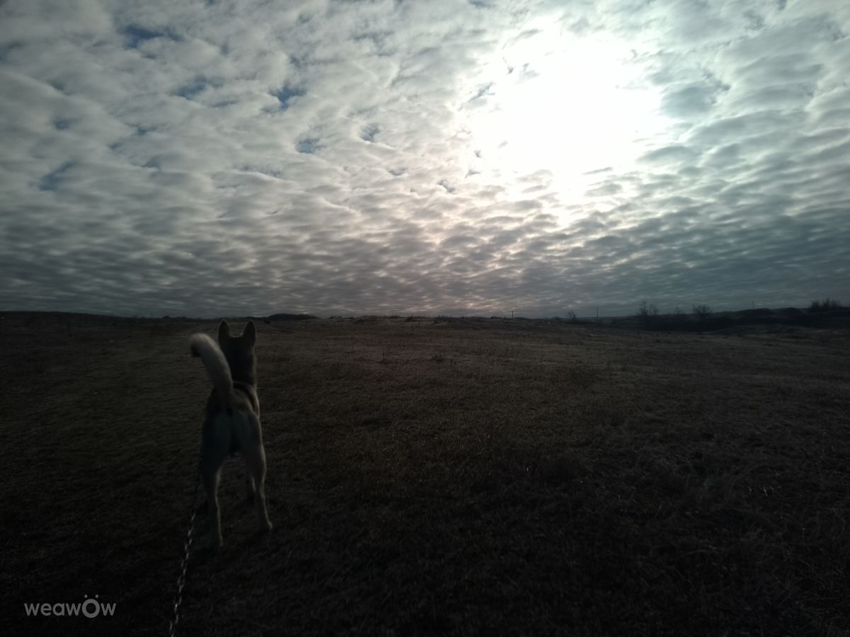 Weather Photos in Mykolayiv. Weather forecasts with beautiful photos by Nsujdc