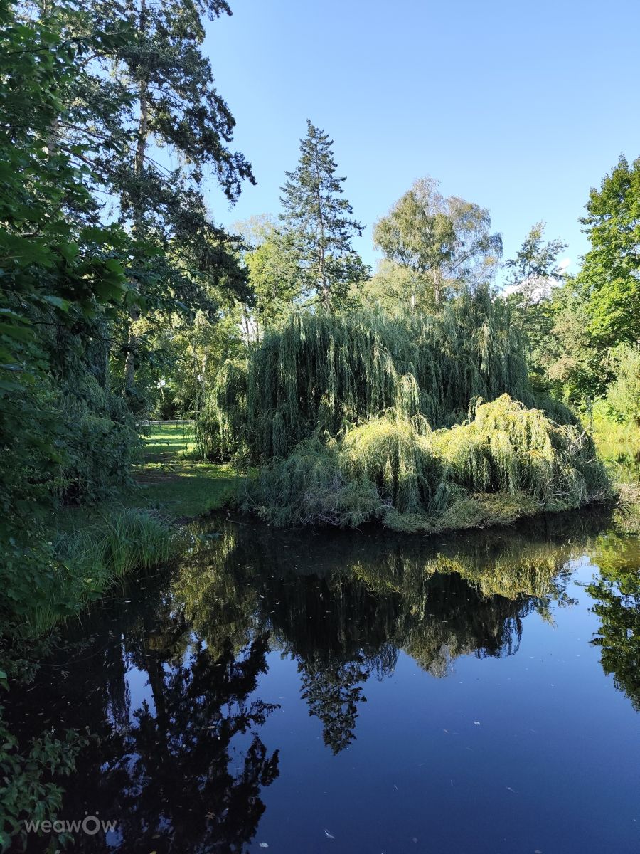 photographe-oleg1961-photos-m-t-o-berlin-weawow