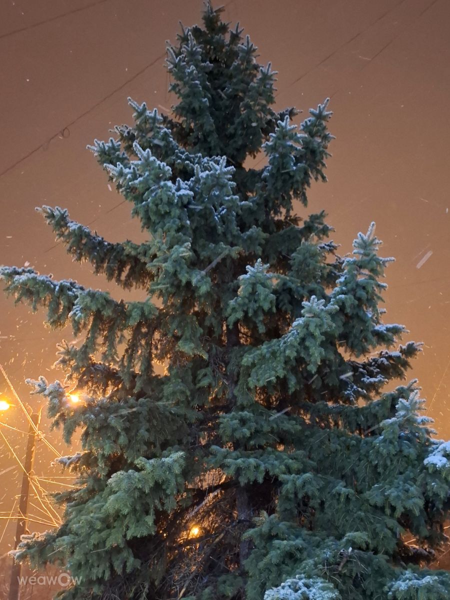 Photographer Iryna, Weather Photos in Kharkiv - Weawow