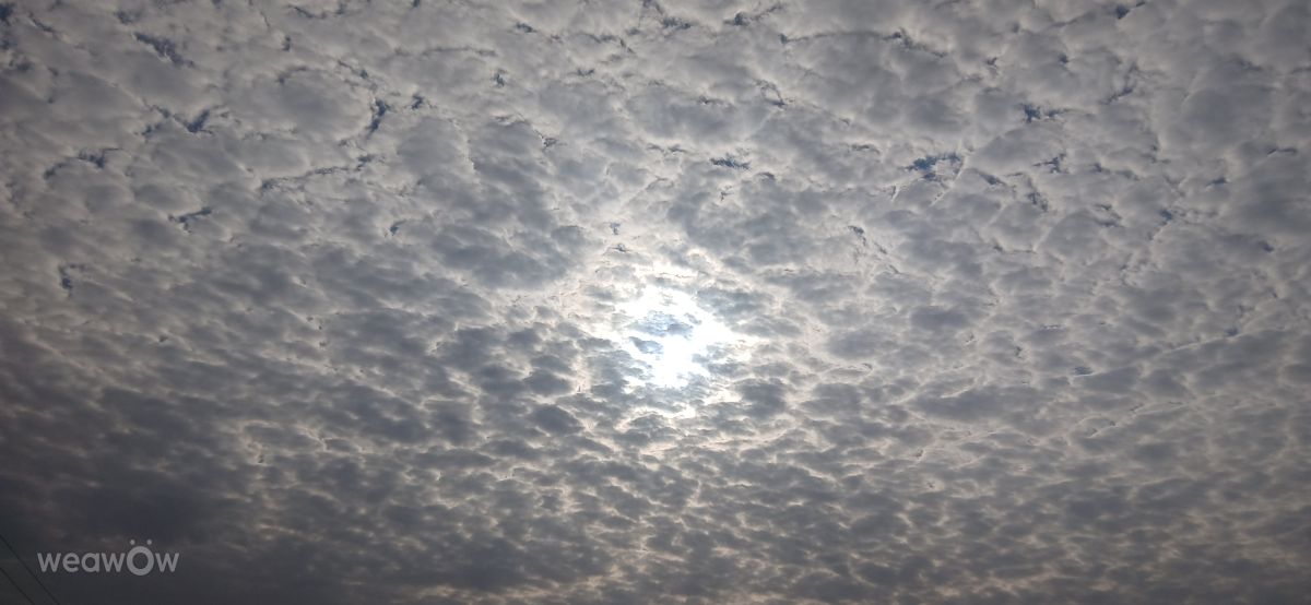 mahmood1586の美しい写真による天気予報