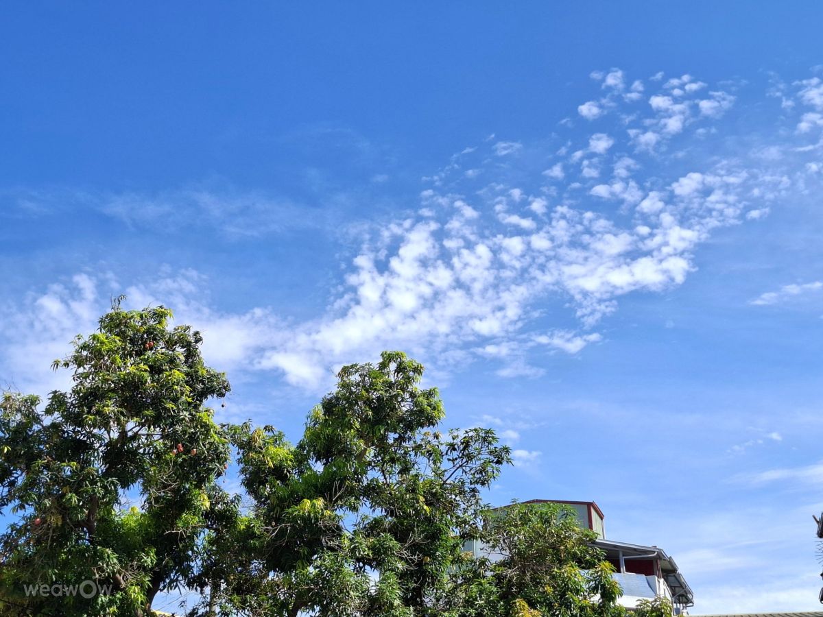 Photographer Wen-ya Huang, Weather Photos in Kaohsiung City - Weawow